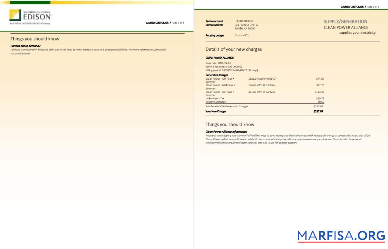 Blank USA Southern California EDISON utility bill, Word and PDF template, 8 pages 5 6